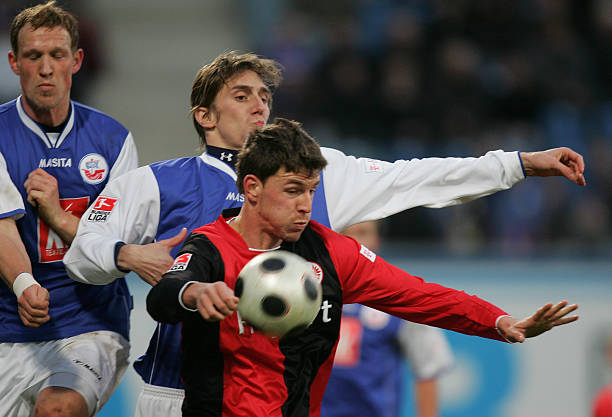 主导地位 主导地位